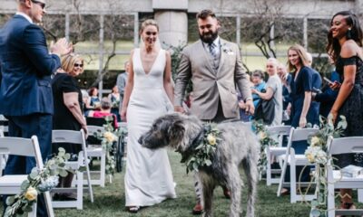 In a heartwarming display of love and commitment, Jason Kelce and wife celebrate their wedding anniversary